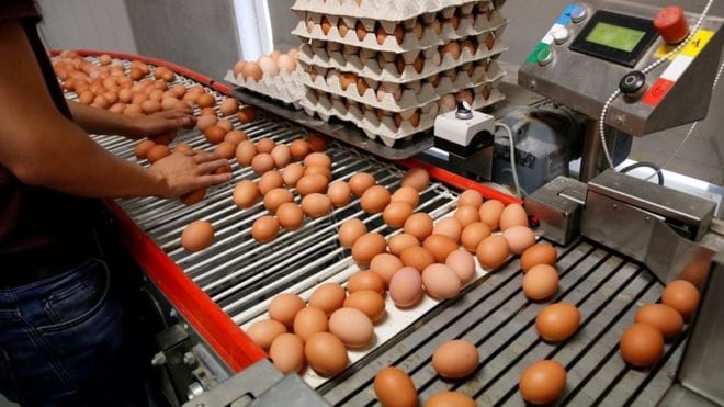 Egg scandal: 20 tonnes sold in Denmark