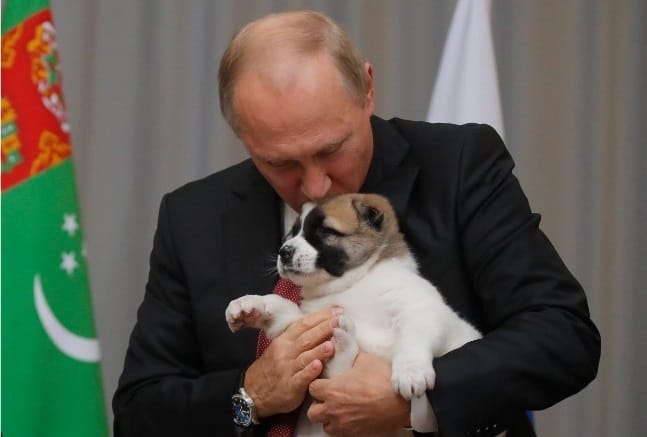 Putin receives puppy as birthday present from President of Turkmenistan