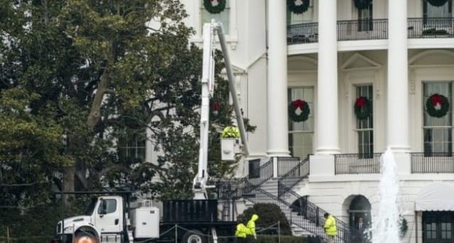 The White House’s famous magnolia tree to be cut