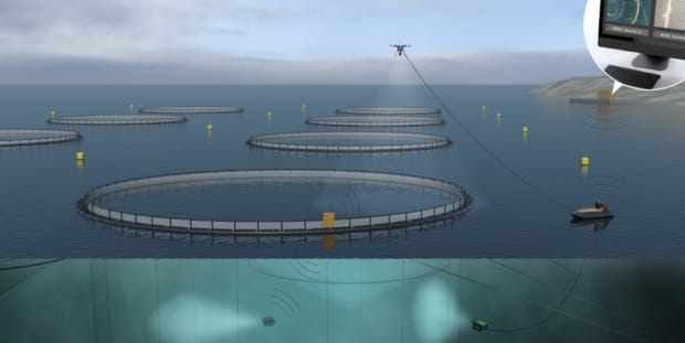 Tomorrow’s fish farms will be unmanned soon