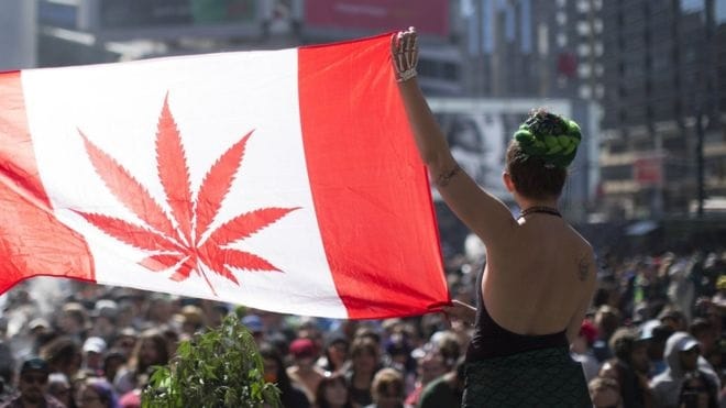 Canada moves a step closer to legalising marijuana by autumn