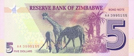 Zimbabwe: currency crisis stymies reform