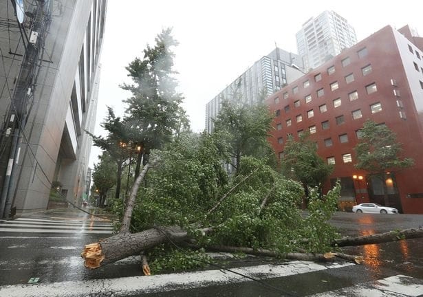 Typhoon Jebi: the strongest in 25 years typhoon hits Japan