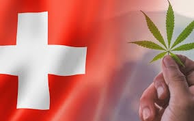 Swistzerland wants to sell medical, recreational marijuana