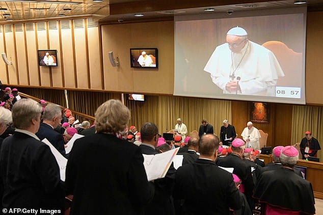 Vatican sexual abuse summit shines light on long fight for justice