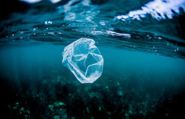 Mexico City bans disposable plastics