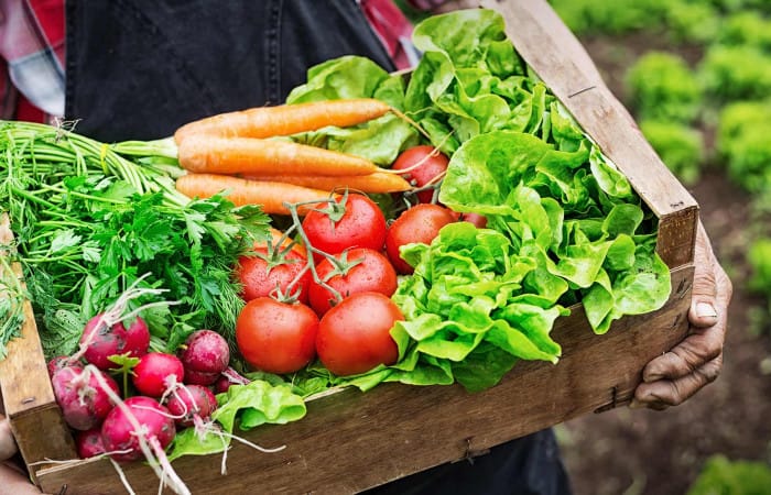 Organic food is more popular than ever in Denmark