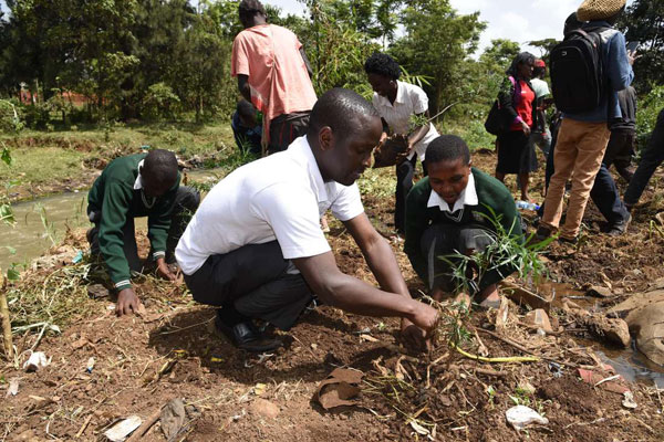 Ethiopia to plant 200 million trees