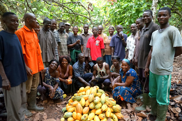 Ivory Coast farmers push back against cocoa output cap