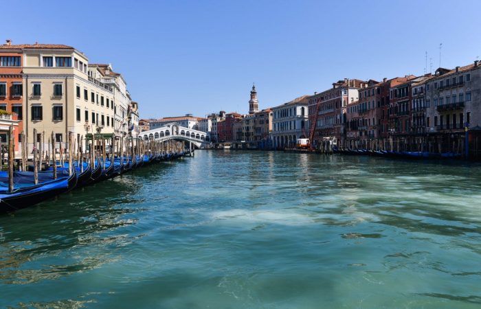 Dolphins swim in Venice’s clear canals as Italians sit in quarantine