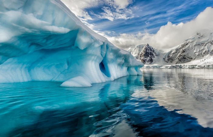 Climate change made algae grow on melting Antarctic snow