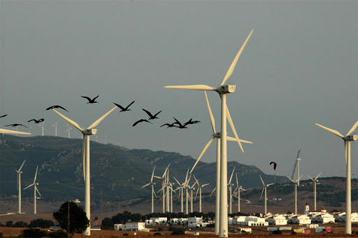 Bird deaths from wind turbine’s drop when one blade is painted black