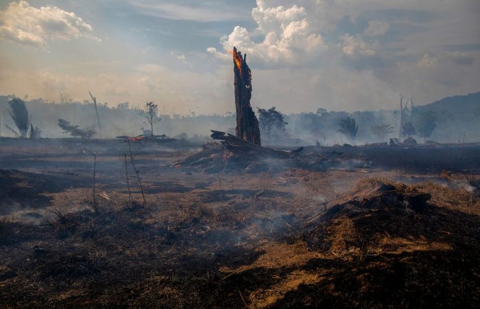Blazes in Brazil burn part of the planet’s largest wetland