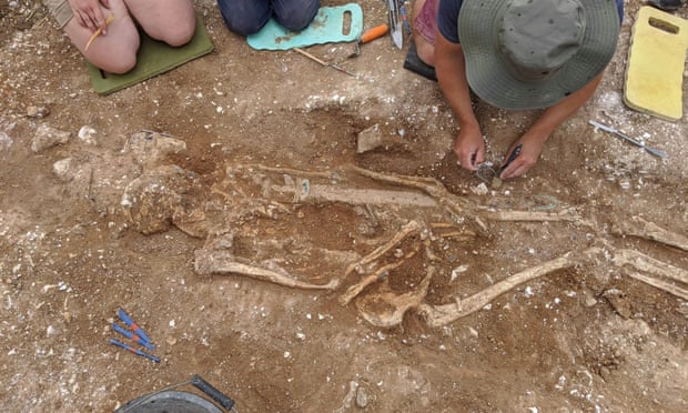 Science: Archaeologists unearth remains of Anglo-Saxon warlord