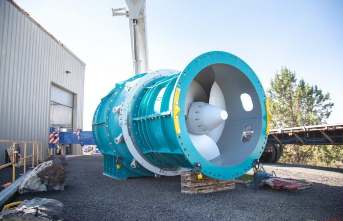 New turbine design allows fish to pass safely