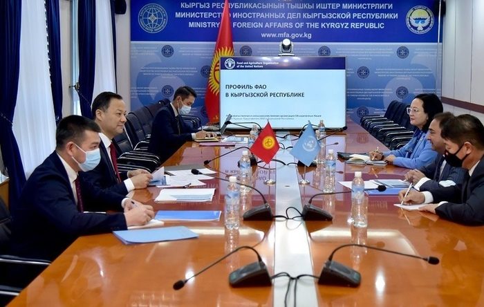 FAO discuss joint projects with Kyrgyzstan