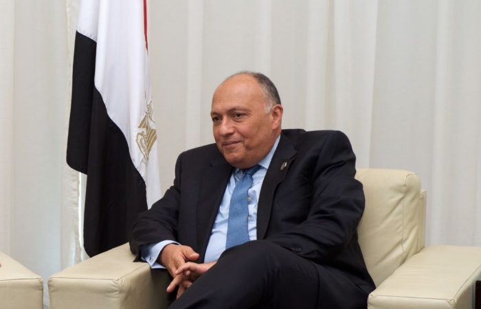 Egypt appreciates Turkey’s efforts to repair relations