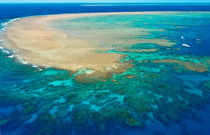 Australia anger as UN committee brands Great Barrier Reef ‘in danger’