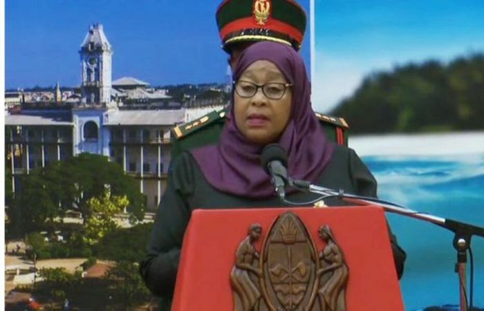 Tanzanian president appoints first woman defense minister