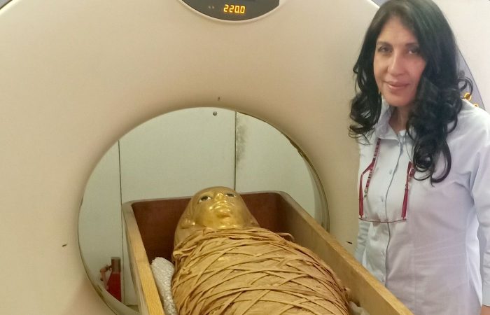 Egyptian mummy has been examined in “unprecedented detail” for first time