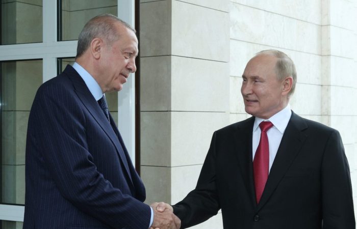 Turkey needs ties with both Russia and Ukraine: Erdogan