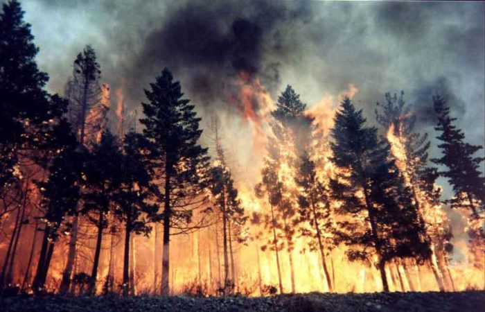 UN warns of 57% increase in risk of cataclysmic wildfires by 2100