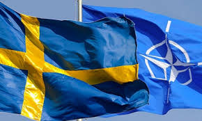 Sweden assessed the future of northern Europe after the country’s accession to NATO