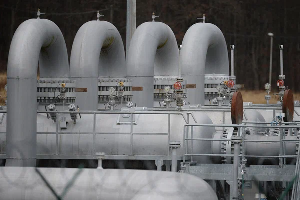 Finnish government expects gas supplies from Russia to stop on May 13