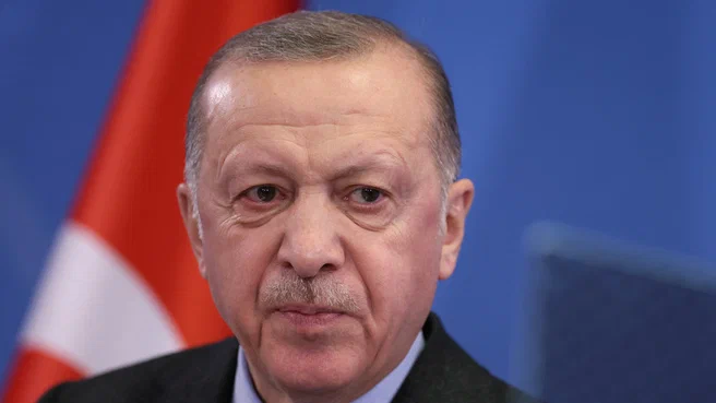 Erdogan: Turkey does not see Sweden’s efforts to address Ankara’s concerns