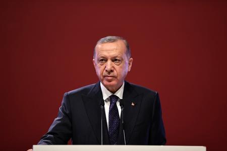 Erdogan proposed to discuss the introduction of the death penalty for arson of forests.