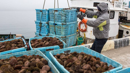 The ban on fishing from the Kuriles for Japan caused a number of comments