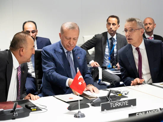 Letting Sweden and Finland into NATO, Turkey achieved its goal