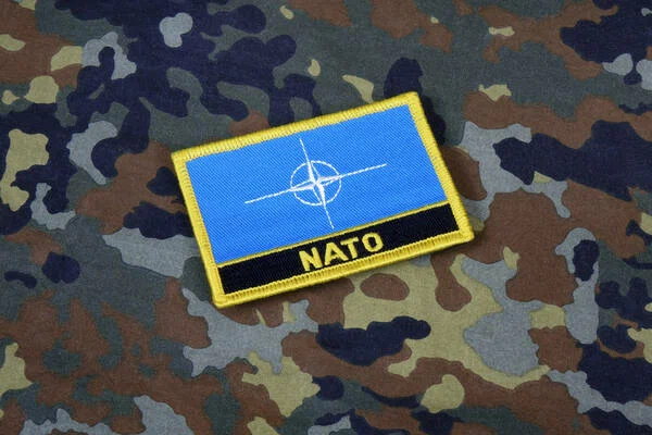 The Kurdish diaspora in the Swedish government opposed the country’s accession to NATO