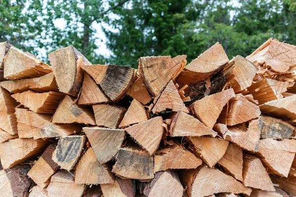 Residents of the Netherlands began to massively buy firewood due to rising gas prices