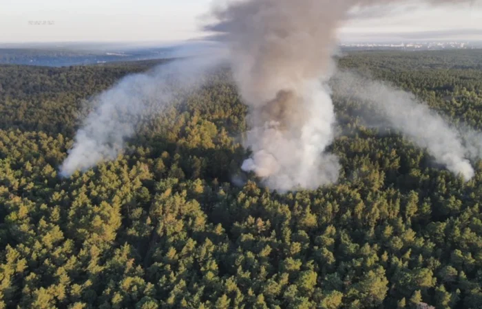 Near Berlin, 1.5 hectares of forest are on fire after an explosion at a depot of shells to be disposed of