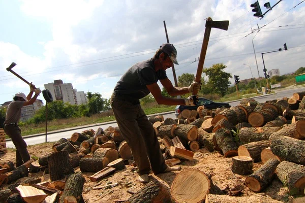 Bulgaria temporarily bans timber exports to third countries