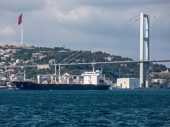 After Lebanon’s rejection of Ukrainian grain, the Razoni vessel arrived in Turkey