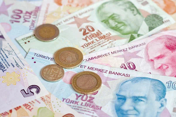 The lira collapsed due to the decision of the Central Bank of Turkey to lower the rate by 13%