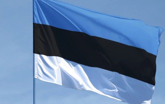Estonia began preparations for guerrilla warfare
