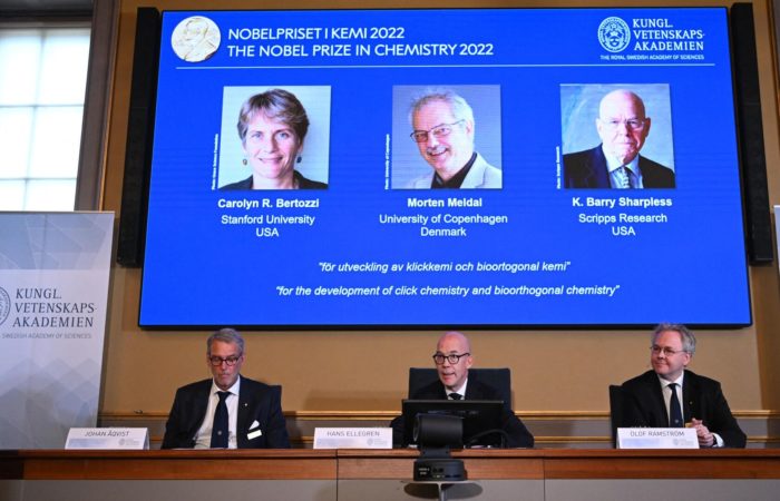 Nobel Prize in Chemistry awarded for study of molecular synthesis