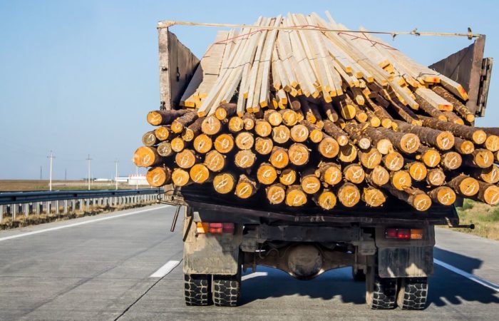 The Greek authorities have temporarily banned the export of firewood from the country.
