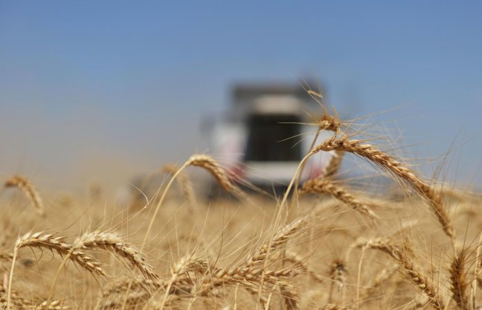 Bulgarian farmers have resumed protests over Ukrainian grain.
