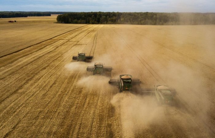 Bulgaria may temporarily ban grain imports from Ukraine.