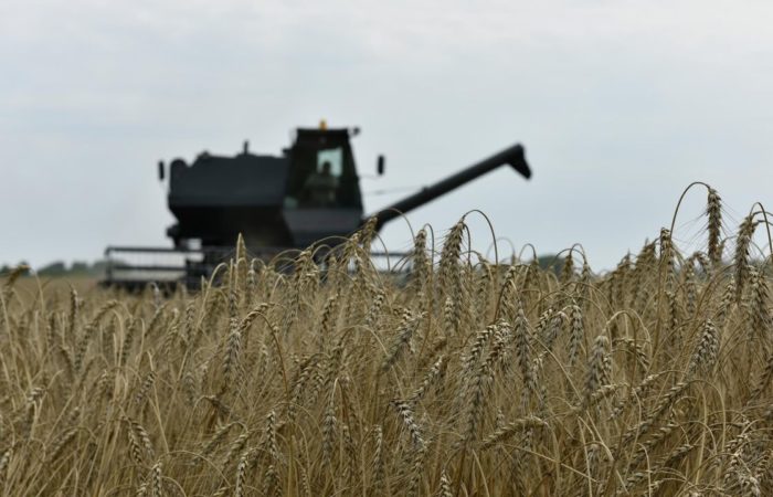Poland will demand from the EU to impose sanctions on food imports from Russia.