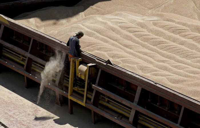 Italy will support efforts to restart the grain deal.